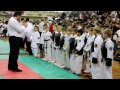 日本拳法 WKA Internation