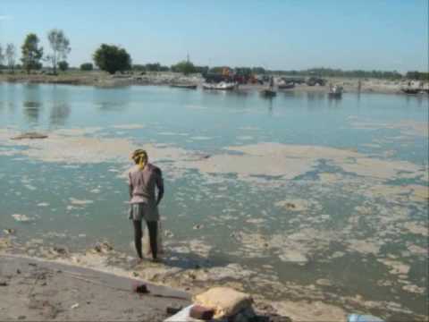 Marine Pollution Video