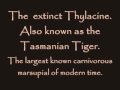 cryptozoology: creatures of myth and legend