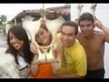 veterinaria em castanhal