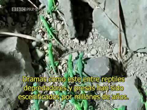 Imagen de previsualización de YouTube
