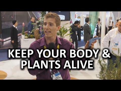 how to care our body