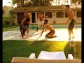 bird - slide bird - slide
