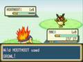 videos de Black Charizard Site 0001