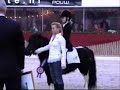 Shetlandpony dressuur talent van 2007 Shetlandpony dressuur talent van 2007
