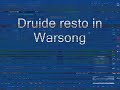 Druide resto in Warsong