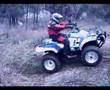 china 300cc 400cc eec atv quad Suppliers Manufacturers