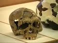 chris-stringer-on-early-human-evolution1.html