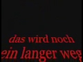 Kampfhunde