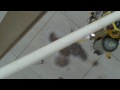 videos de 60 second rocket flight 2009.06.03 - flight 8