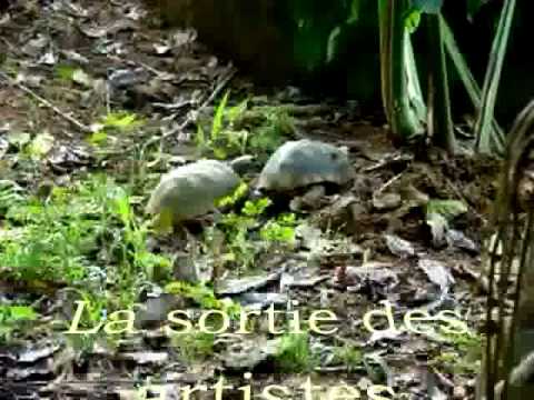 Image de prévisualisation YouTube