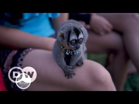 Der große Ausverkauf - Landhandel in Peru | DW Deutsc ...