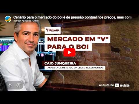 Cenário para o mercado do boi é de pressão pontual nos preços | ENTREVISTA