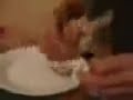 1.4g hash bong hit tokecity.com oil/bubble hash rip contest10.06.08 ras_eel