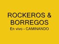 rockeros   borregos   caminando