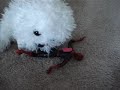 spidey vs goblin by kenzo  age 12  stop motion