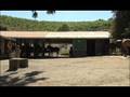 Garrod Farms ~ Established in 1894