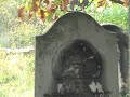 Cmentarz ?ydowski w Pyskowicach Cmentarz ?ydowski w Pyskowicach