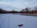 Winter Water Skipping
