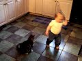 Ella meets Apollo the New Maine Coon Kitten