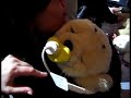 Seal puppy nextfest robotic animatronic love muff