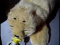 Seal puppy nextfest robotic animatronic love muff
