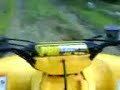Yamaha Raptor 660R, Warrior 350, Honda TRX 400EX, 250 Fourtrax, Suzuki z400