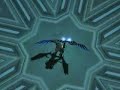 Dark Awakening - RF Online lv50 Cora Ranger Dark Awakening - RF Online lv50 Cora Ranger