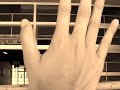 C-C parte 2.wmv