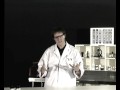 Meet Dr Wave