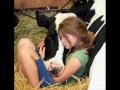 Animais, eles precisam de amor ! ? Animais, eles precisam de amor ! ?