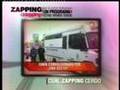 CualZappingCerdo XIV