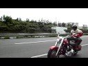 FXDL&FLSTF