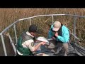 GA DNR Shockboat in Action GA DNR Shockboat in Action