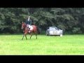 Dag vh Paard 2010 - Lizanne met Riccina - B dressuur