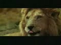 Bad Day on Africa