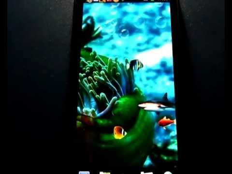  Free Android on Free Calipso Live Wallpaper For Android