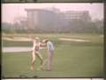 sticks & balls