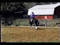 videos de Dalnomer schooling at home