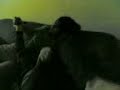 Jake and rorey fight 2