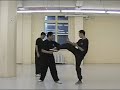 Xing Yi  V.S.  Ba Gua--counter each other