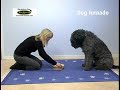 Nina Ottosson Dog Tornado