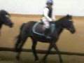 videos de Saskia poney  ilbaritz