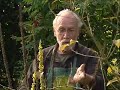 Ecotuintip van Velt-lesgever Frans De Smedt. Toffe tip voor een ecologische tuin: iedere donderdagavond op Zina Ring-tv door Frans De Smedt, erkend Velt-siertuinlesgever.Frans De Smedt: