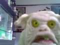 Durg finds camera