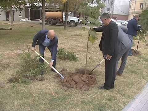 Просмотр видео