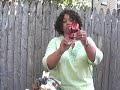 How to Make a Bow How to Make a Bow