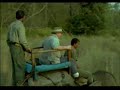 In the Wild: Tigress attacks Elephant ( Good Quality )