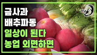 벼랑 끝에 선 식량안보 ! 답은 지속가능한 농촌?