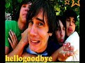 Homewrecker- hellogoodbye